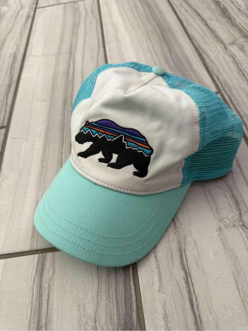 Patagonia SnapBack trucker hat.
